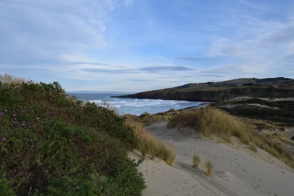 Sand Fly Bay, from the north Dunedin, New Zealand Otago Peninsula