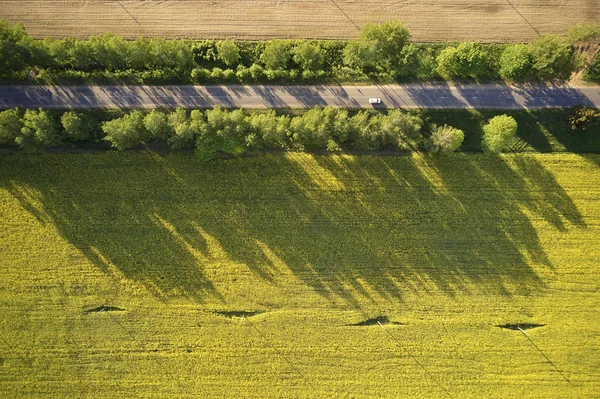 Luftaufnahme Von Straße Und Feld Agrarlandschaft Aus Der Luft Feld — Stockfoto