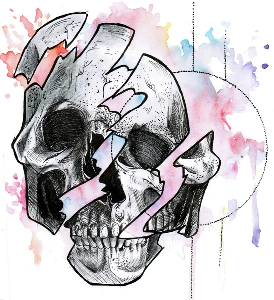 ink drawing of a skull