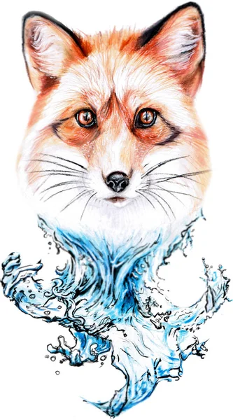 Rysunek Red Fox Wody — Zdjęcie stockowe