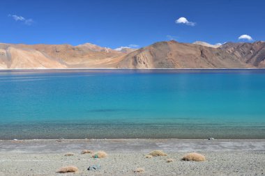 Ladakh, Hindistan 'daki Pangong Gölü manzarası 
