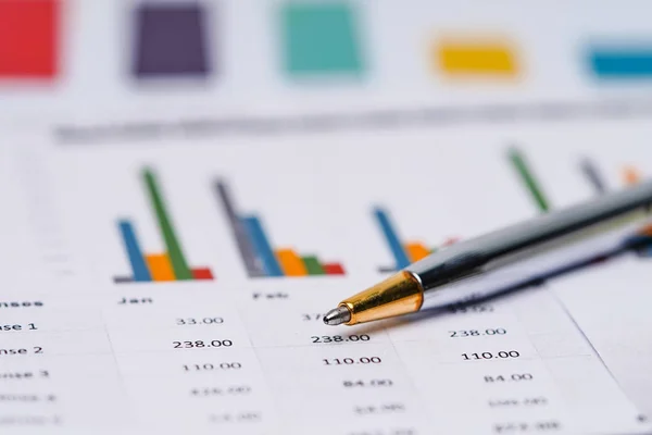 Penna Diagram Diagram Kalkylblad Papper Finansiell Utveckling Bankkonto Statistik Investeringsanalys — Stockfoto