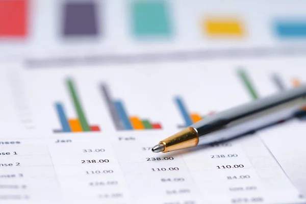 Penna Diagram Diagram Kalkylblad Papper Finansiell Utveckling Bankkonto Statistik Investeringsanalys — Stockfoto