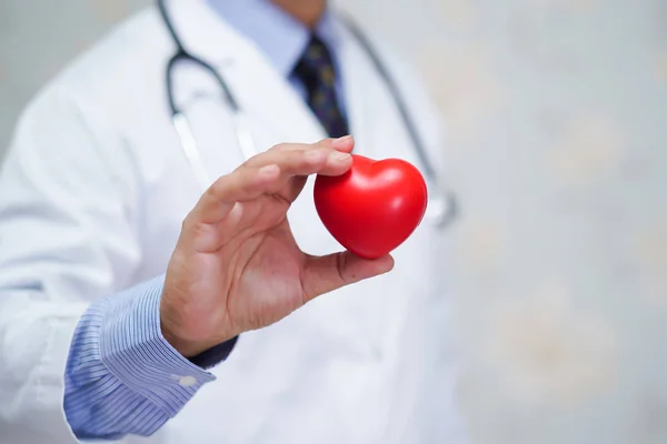 病棟で彼の手の中に赤い心臓を保持医師 健康的な強力な医療の概念 — ストック写真