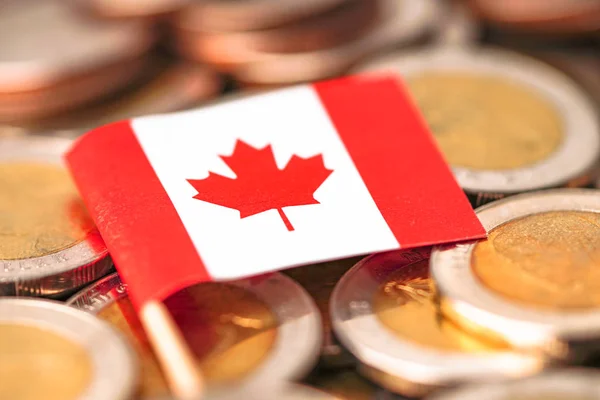 Canada Flag Coins Background Business Finance Concept — Foto de Stock