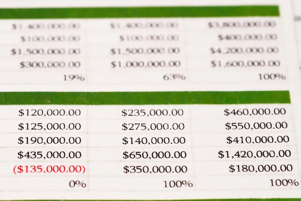 Spreadsheet Table Paper Finance Development Banking Account Statistics Investment Analytic — Stock Photo, Image