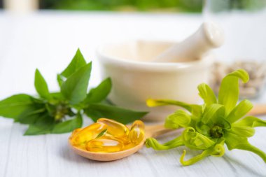 Alternatif ilaç bitkisel organik kapsül E omega 3 vitamini balık yağı, mineral, bitki yapraklı ilaç sağlıklı yaşam için doğal destek.