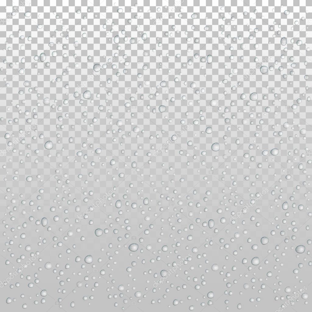 Vector Water drops on glass. Rain drops on transparent background