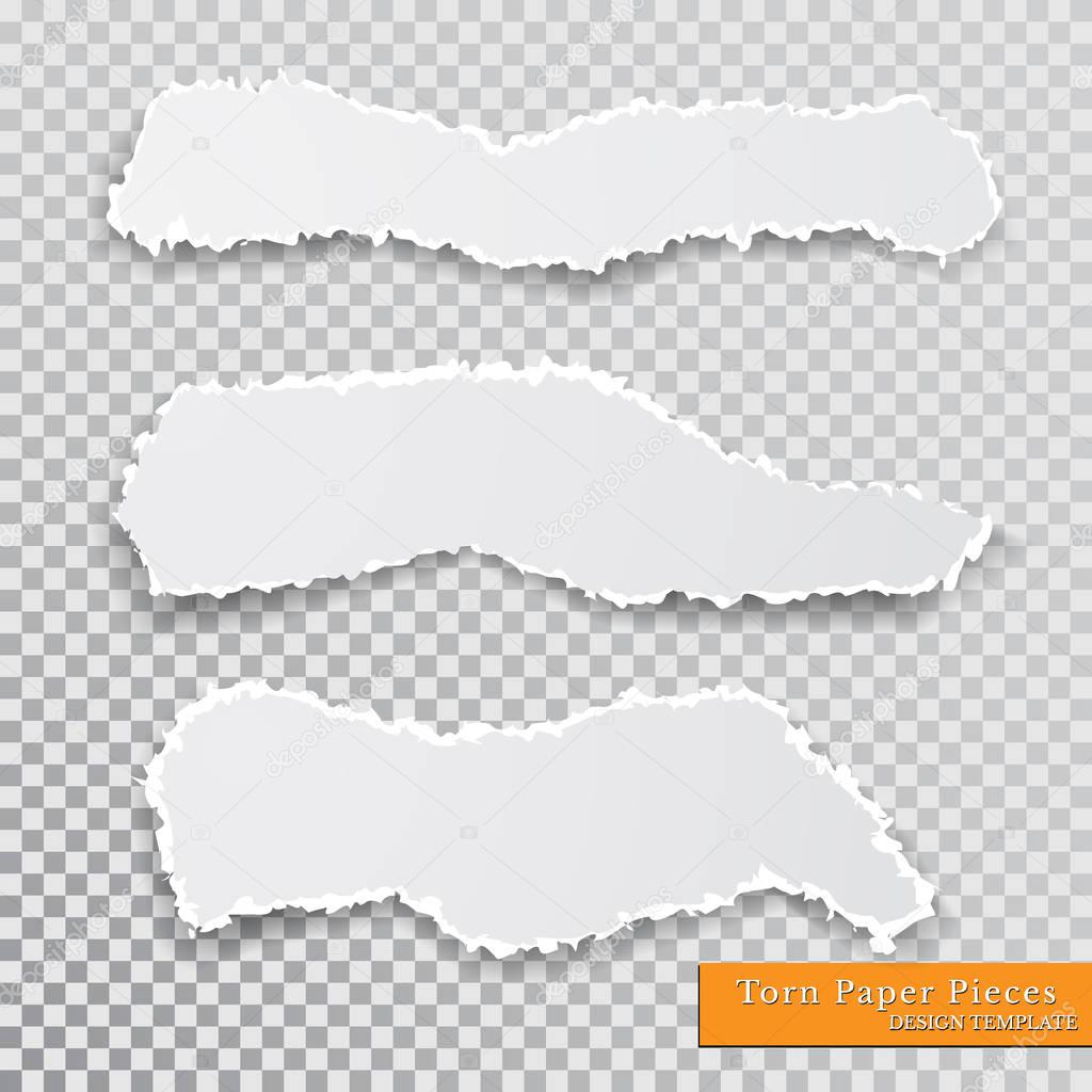 Vector torn paper pieces. Transparent background. Template paper design