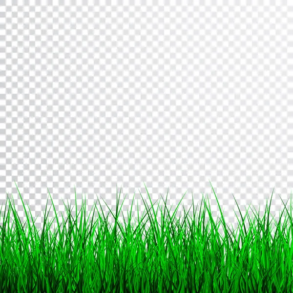 Green Grass Border Set, Vector Illustration — Stock Vector