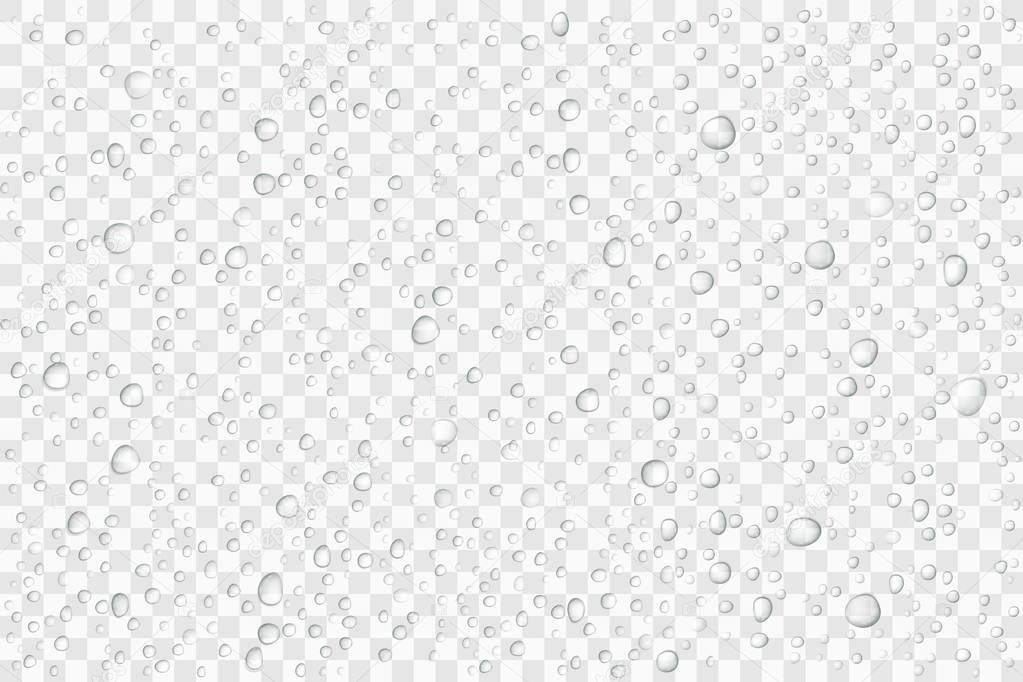 Vector Water drops on glass. Rain drops on transparent background