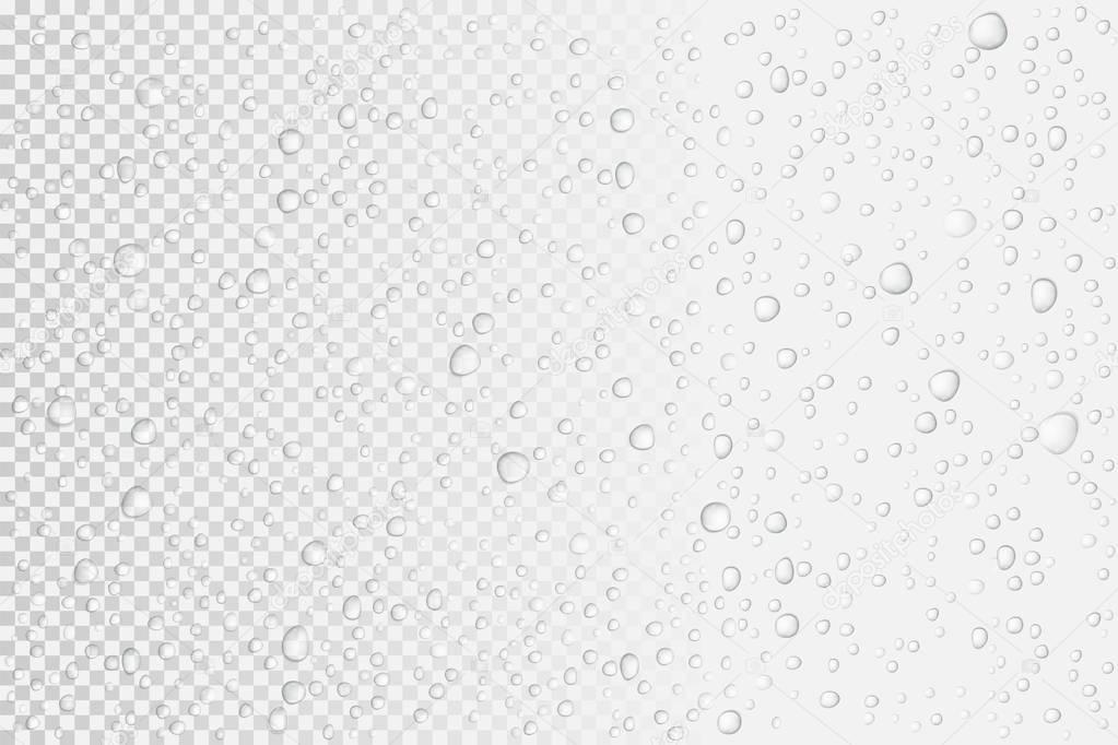 Vector Water drops on glass. Rain drops on transparent background