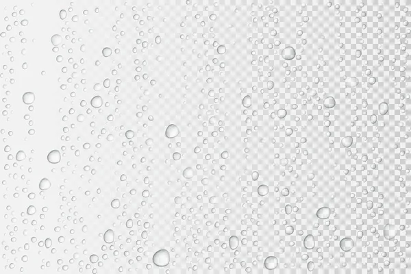 Vector Gotas de agua sobre vidrio. Gotas de lluvia sobre fondo transparente — Vector de stock