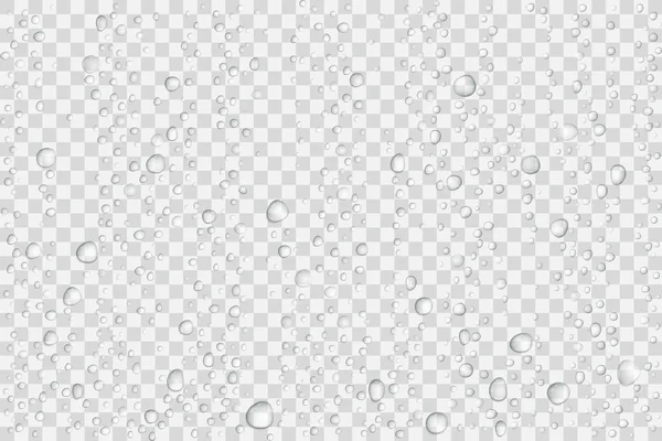Vector Gotas de água em vidro. Chuva cai sobre fundo transparente — Vetor de Stock