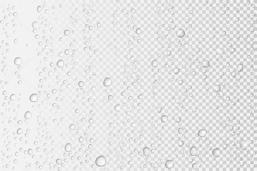 Vector Water drops on glass. Rain drops on transparent background