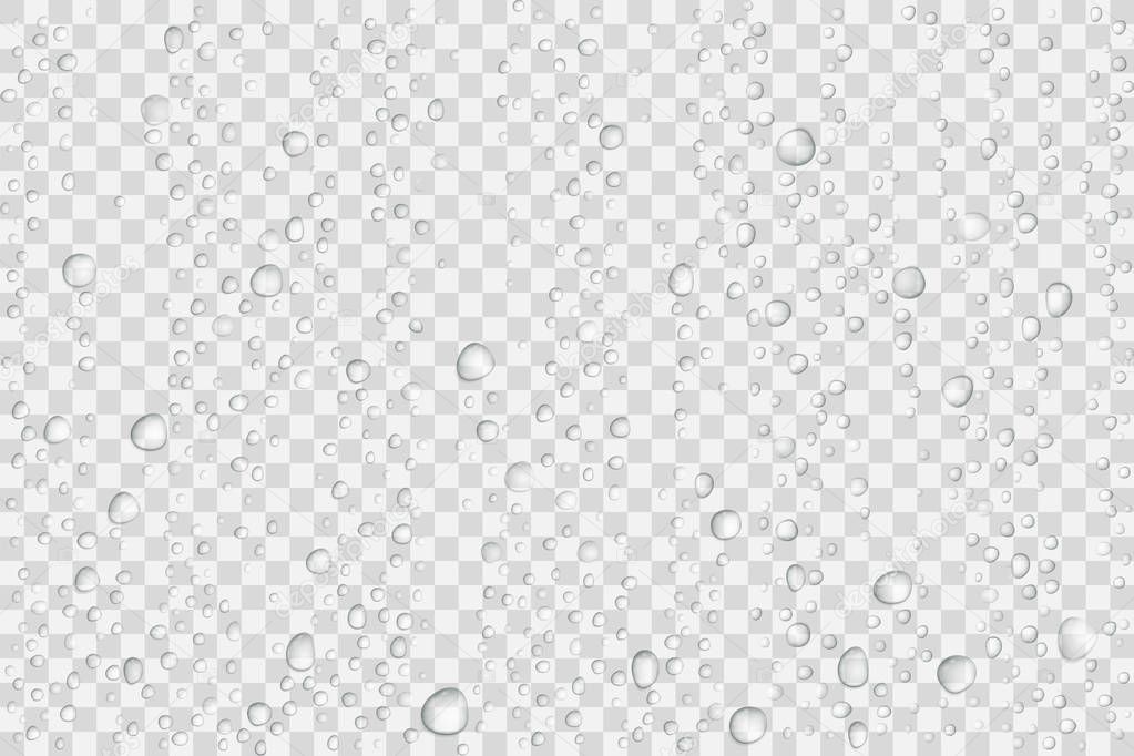 Vector Water drops on glass. Rain drops on transparent background