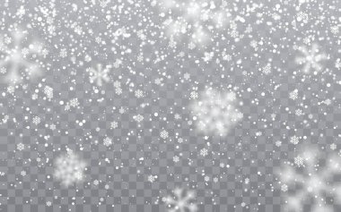 Christmas snow. Falling snowflakes on transparent background. Snowfall. Vector illustration clipart