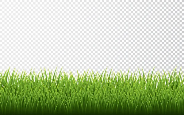 Fronteira de grama verde definida em fundo transparente. Ilustração vetorial — Vetor de Stock