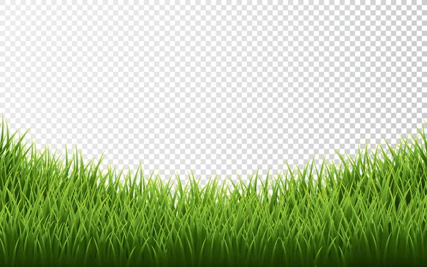 Grens met groen gras op transparante achtergrond. Vector Illustratie — Stockvector