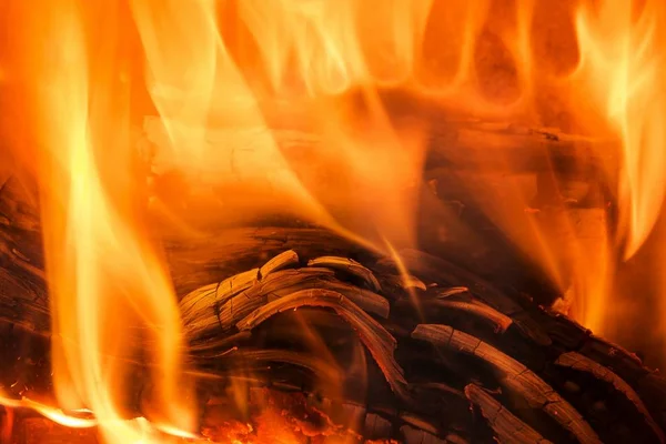 Fire wood burns in a fireplace — Stock Photo, Image