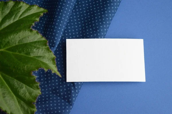 Mockup for business cards. One side of the business card. Business card on the background of a leaf of the royal begonia. Leaf of begonia and business card. Visit card