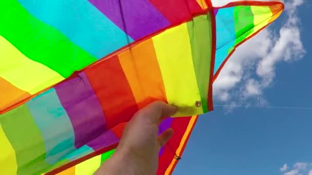 Cerf Volant Multicolore Vole Sur Fond Verts Printaniers Dans Beau — Video