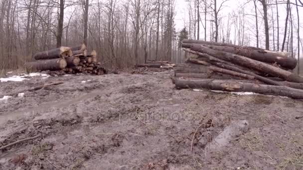 生態学的災害 森林伐採やログの一時的な記憶域 春のオフロード 道路は強力な機械によって破壊されます — ストック動画