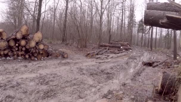 Dezastru Ecologic Despădurirea Depozitarea Temporară Bustenilor Primăvara Road Drumul Este — Videoclip de stoc