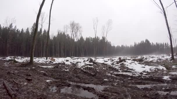 Масове Вирубування Лісів Екологічна Катастрофа Великі Простори Були Змінені Людською — стокове відео