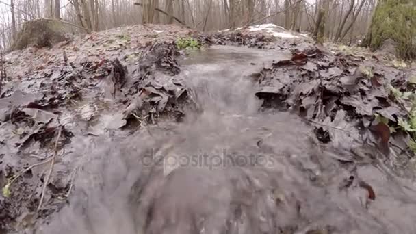 春天的森林 雪融化后立即 水在小溪中聚集 摧毁道路 带走污垢 — 图库视频影像