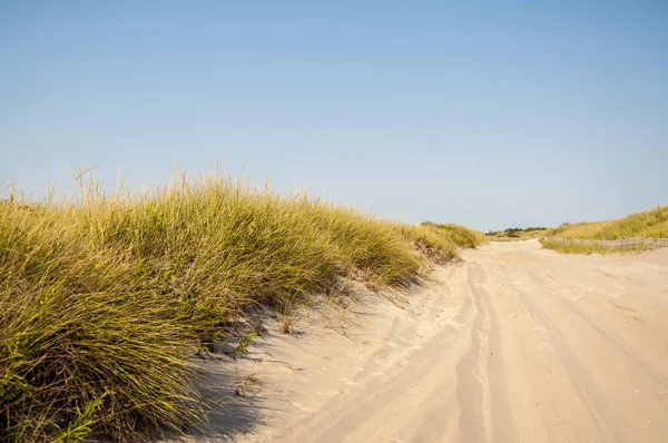 Route de la plage Sur la journée ensoleillée — Photo