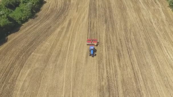 Aerial Bild Plantera Frön Majs Vete Med Traktor Maskin — Stockvideo