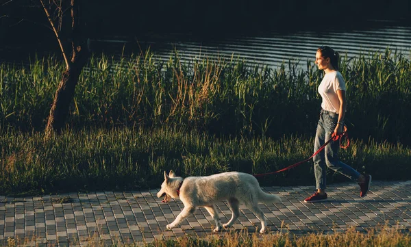 Czarująca biała kobieta ubrana w t-shirt spaceruje z białym psem w parku — Zdjęcie stockowe