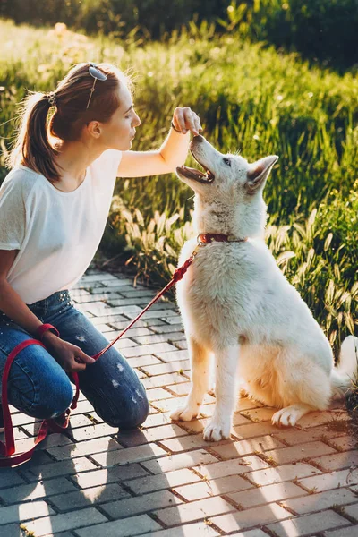 Wesoła biała kobieta ubrana w biały t-shirt i nosząca okulary przeciwsłoneczne bawi się z białym psem w parku — Zdjęcie stockowe