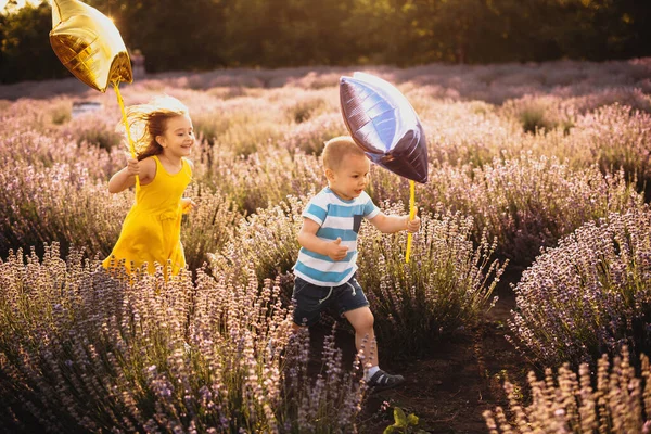 Crianças caucasianas encantadoras correndo contra a luz do sol com alguns balões através de um campo de lavanda — Fotografia de Stock