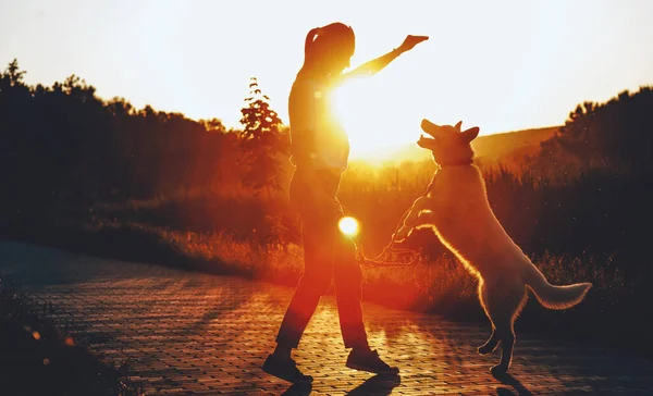 Fille caucasienne et son chien ludique posent dans le parc contre le soleil — Photo