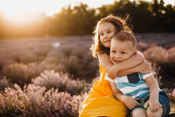 Προσεκτική αδελφή αγκαλιάζει το μικρό αδελφό της, ενώ θέτουν κατά την ηλιοφάνεια με ένα πεδίο λεβάντα στο παρασκήνιο — Φωτογραφία Αρχείου