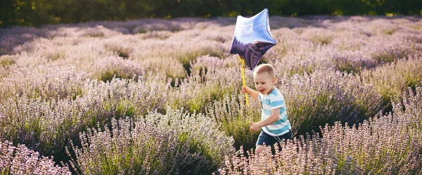 Menino feliz correndo através de um campo de lavanda com um balão estrela — Fotografia de Stock