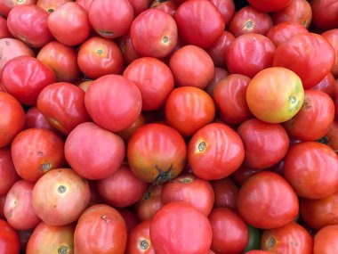 Domates arka planı ve desen