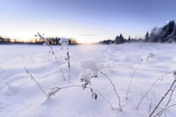 Il lago di ghiaccio e la foresta ha coperto di neve pesante e bel blu — Foto Stock