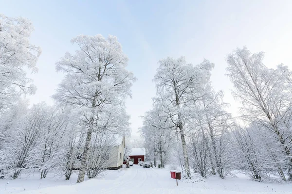 Dom w lesie pokryty jest dużym śniegiem w zimie se — Zdjęcie stockowe