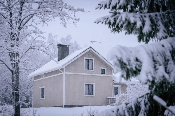 Будинок в лісі вкритий сильним снігом і поганим небом — стокове фото