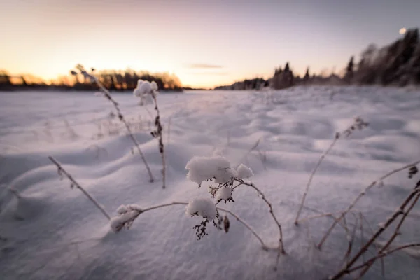 Der Eissee und der Wald sind mit starkem Schnee bedeckt und — Stockfoto