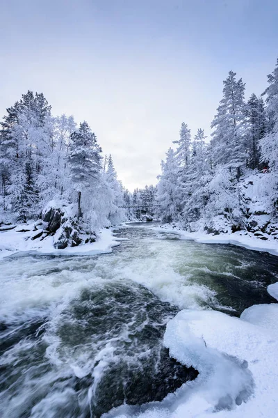 Rzeka w sezonie zimowym w Parku Narodowym Oulanka, Finlandia. — Zdjęcie stockowe