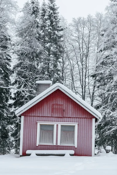Dom w lesie pokryty jest śniegiem i złym niebem. — Zdjęcie stockowe