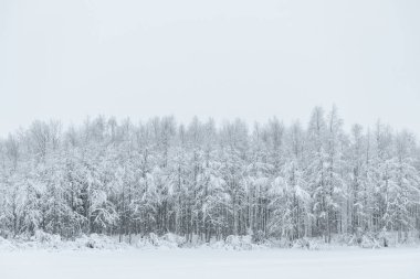 Buz gölü ve orman ağır kar ve kötü sütle kaplandı.