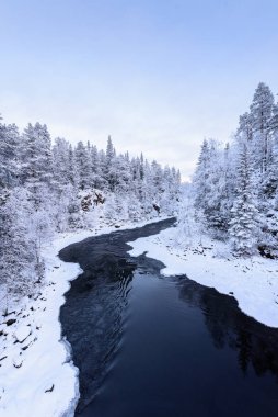 Finlandiya 'daki Oulanka Ulusal Parkı' nda kış mevsiminde nehir.
