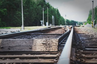 Orman portre demiryolu parça