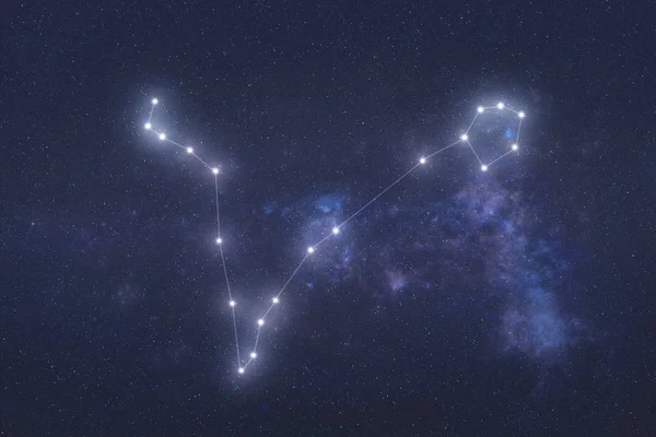 Pisces Constellation in outer space — Stock Photo, Image