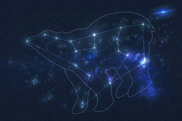 Dış uzaydaki Ursa Major Constellation yıldızları çizgili bir ayı şeklindedir. Bu görüntünün elementleri NASA tarafından döşendi.